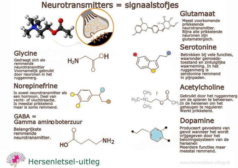 Zijn Endorfines Neurotransmitters?